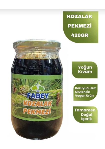 Kozalak Pekmezi 420G fiyatları