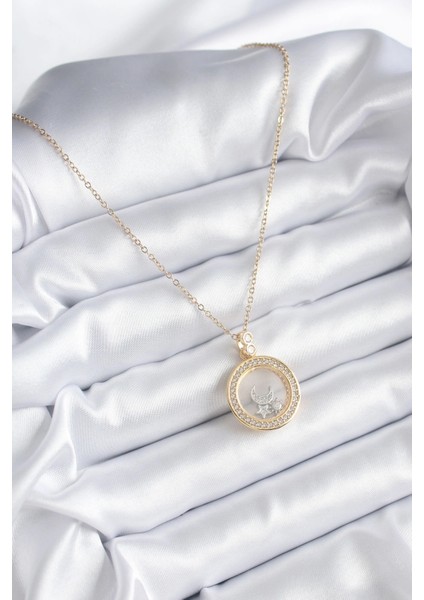 316L Çelik Gold Renk Zirkon Taş Detay Ay Yıldız Fanus Model Kadın Kolye fiyatları