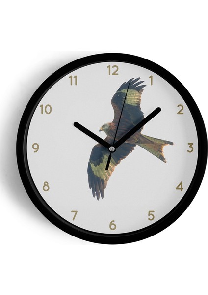 Soyut Kartal Modern Tasarım Duvar Saati - 25CM - Önü Camlı Siyah Kasa - Sessiz Mekanizma