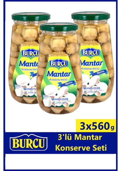 Bütün Mantar Konservesi 560 gr x 3 Adet