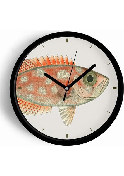 Balık Tasarım Modern Duvar Saati - 25CM - Önü Camlı Siyah Kasa - Sessiz Mekanizma