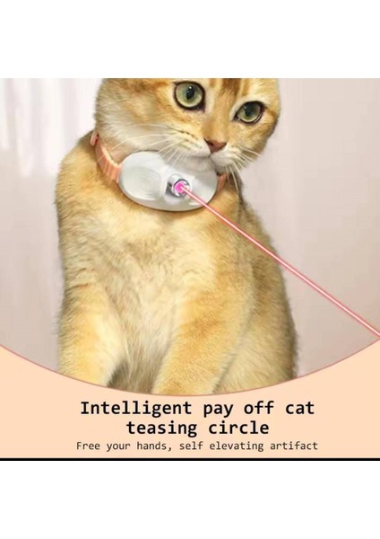 Boyun Tasmalı Lazerli Kedi Oyuncağı