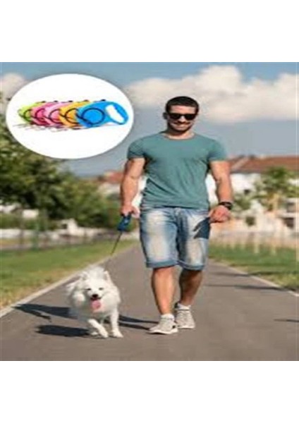 Buğz Otomatik Uzayan Köpek Tasması 3 Metre modelleri
