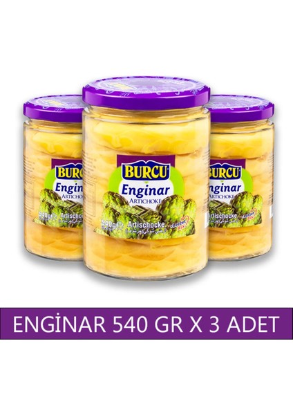 Enginar Konservesi 540 gr x 3 Adet