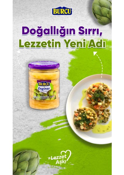 Enginar Konservesi 540 gr x 3 Adet fırsatları