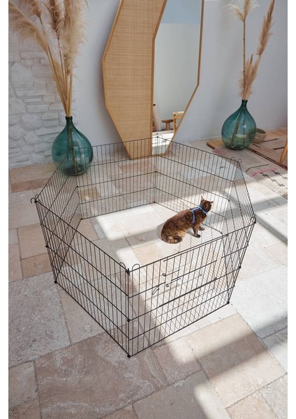 Cloverpet Kedi Köpek Bahçe Çiti Orta 60X54