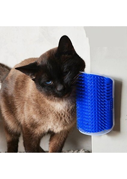 Buğz Cat It Kedi Kaşınma Aparatı fiyatları