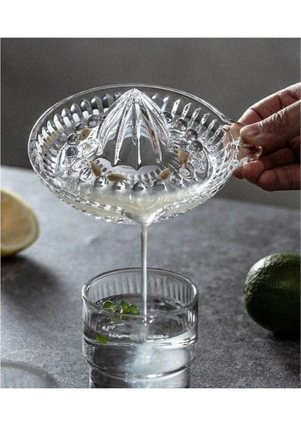 Buğz Cam Limon Sıkacağı modelleri