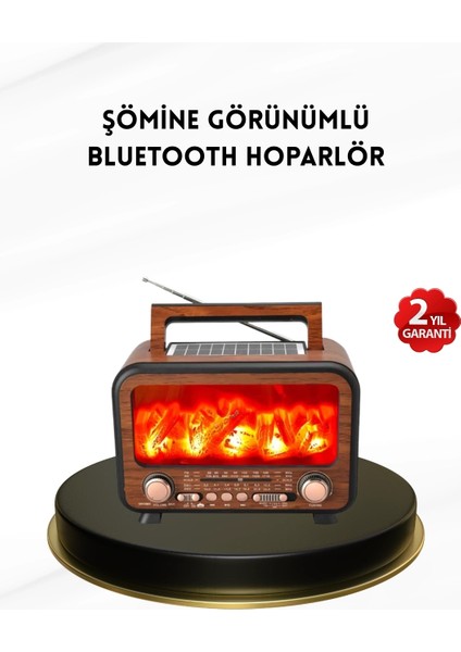 Buğz Alev Işığı Efektli Solar Bluetooth Hoparlör Radyo Destekli Taşınabilir Model