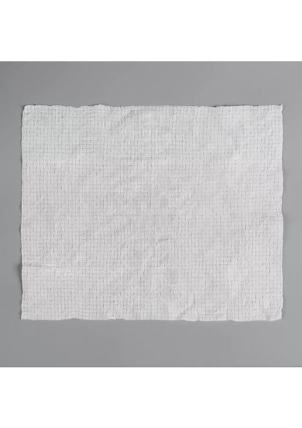 Buğz Suda Büyüyen Sıkıştırılmış Mendil 20 Adet fiyatları