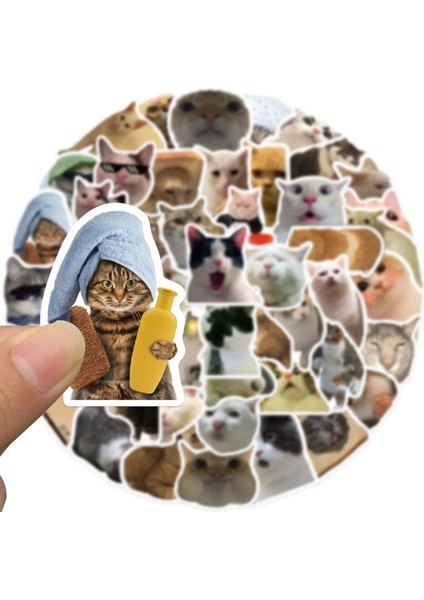 Buğz Çılgın Kediler Macbook Notebook Tablet Telefon Ajanda Laptop Defter Sticker Seti indirimleri