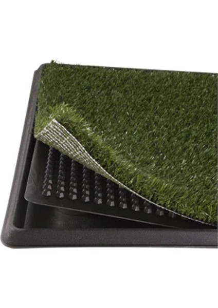 Buğz Köpek Tuvalet Eğitim Seti