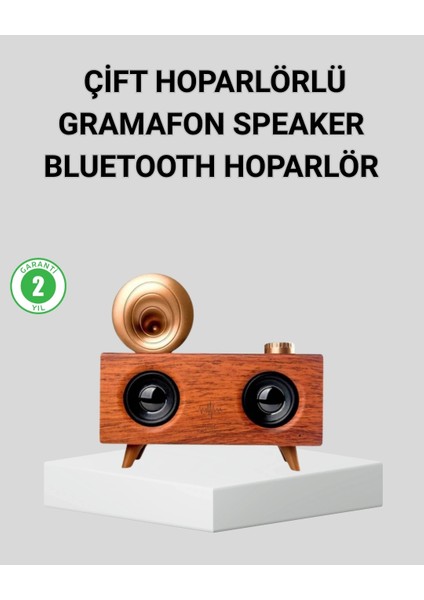 Buğz Retro Gramafon Bluetooth Hoparlör Çift Stereo Sesli Fm Radyo Destekli