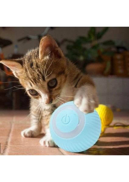 Buğz Interaktif Kedi Köpek Şarjlı Oyun Topu fiyatları