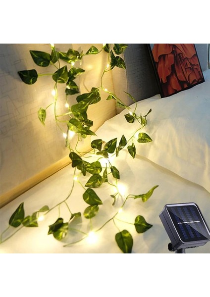 Buğz Güneş Enerjili Sarmaşık LED Dekor 5 Metre