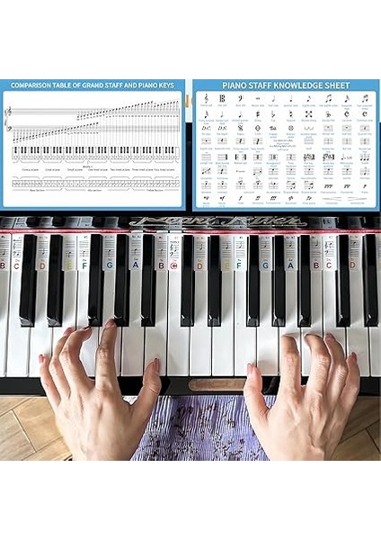 Müzik Teorisi Poster Seti, Piyano Klavyesi ve Nota Sistemi Kılavuzu ve Piyano Klavyesi Notaları Için Renkli Etiketler (Labels And Theory Poster) fiyatları