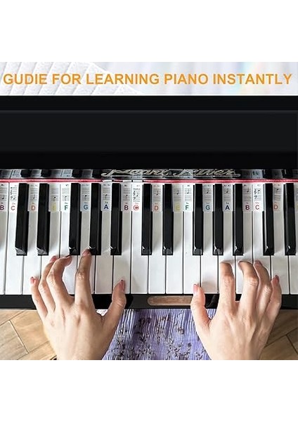 Müzik Teorisi Poster Seti, Piyano Klavyesi ve Nota Sistemi Kılavuzu ve Piyano Klavyesi Notaları Için Renkli Etiketler (Labels And Theory Poster) indirimleri