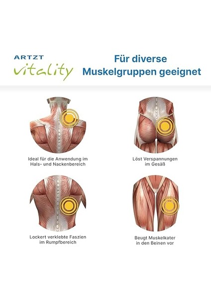 Vitality Mantar Ball Duo | Gerçek Mantardan Çift Bağ Doku Topu | Sürdürülebilir Masaj Topu Portekiz'de Üretilmiştir | Evde Bağ Doku Eğitimi Için Mantar Fasya Topu, Bej, 16 x 8 cm indirimleri