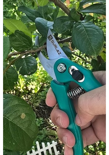 Tipi Budama Makası Kolay Temizlenebilir ve Hafif Yapı 2 Parça Set fırsatları