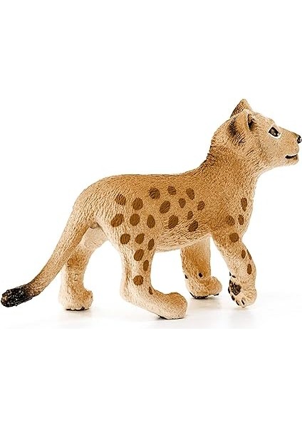 Life-Yavru Aslan fırsatları