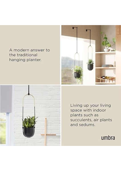 Bolo Iç Mekan Için Çiçek Askısı – Duvara ve Tavana Takmak Için Asılı Çiçek Saksısı, Oda Bitkileri, Sukulentler, Hava Bitkileri, Kaktüs, Yapay Bitkiler ve Daha Fazlası Için, Seramik/pirinç, Siyah fırsatları