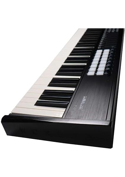 P-61 Pro 61 Tuş Midi Klavye fiyatları