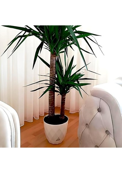 Yakamoz Prizma Saksı Drenajlı Tabaklı Plastik Çiçek Saksısı (Antrasit, 26 Lt) indirimleri