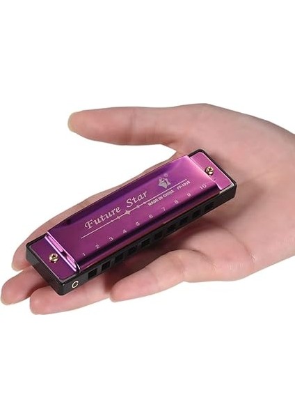 Anahtar C Diyatonik Mızıka Mouthorgan Abs Sazlık Ayna Yüzey Tasarım ile 10 Delik Blues Mızıka Başlayanlar Için Mükemmel Profesyonel Öğrenciler Çocuk Mor modelleri