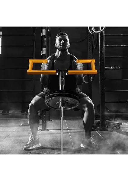 Viking Press Attachment For 2-Inch Olympic Barbell – 3 Hand Grip Positions For Increased Versatility fırsatları