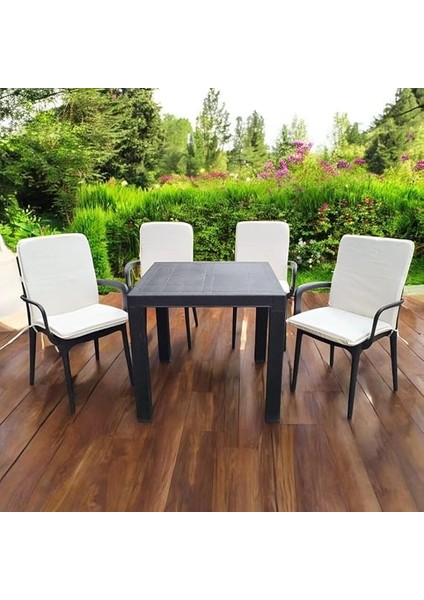 Arkalıklı Sandalye Minderi 4lü 4cm Süngerli Krem modelleri