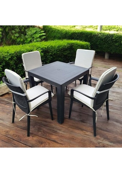 Arkalıklı Sandalye Minderi 4lü 4cm Süngerli Krem fırsatları