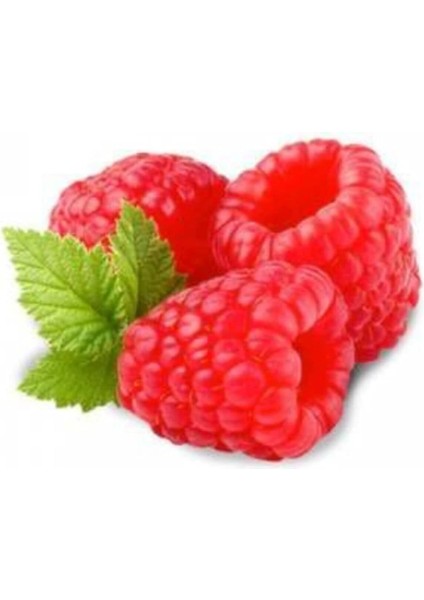 Adet Böğürtlen Tohumu