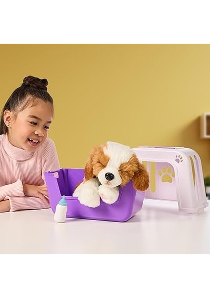 Sevimli Köpeğim modelleri