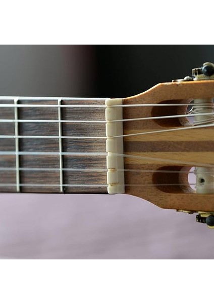 Akustik Gitar Için Kemik Köprülü Eyer | Ağartılmamış Akustik Gitar Köprü Eyerleri,pure Complete Bone Gitar Köprü Pimleri, Akustik Gitar Parçaları modelleri