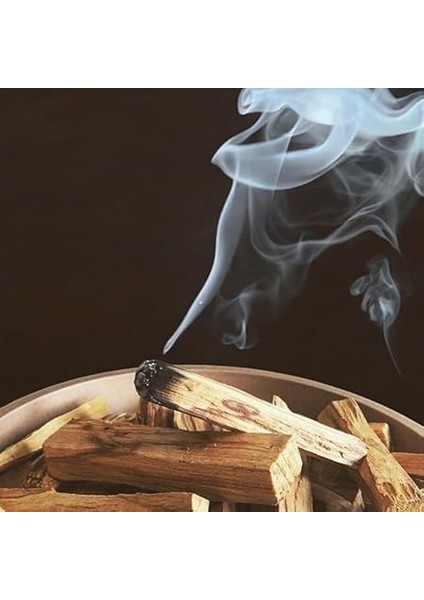 Santo Tütsüsü- Sertifikalı, Yüksek Reçineli, Doğal Kokulu Ağaç Çubukları - Ruhsal Arınma, Meditasyon ve Enerji Temizliği (20-22 Gr) (Standart, Gram, 20) fiyatları