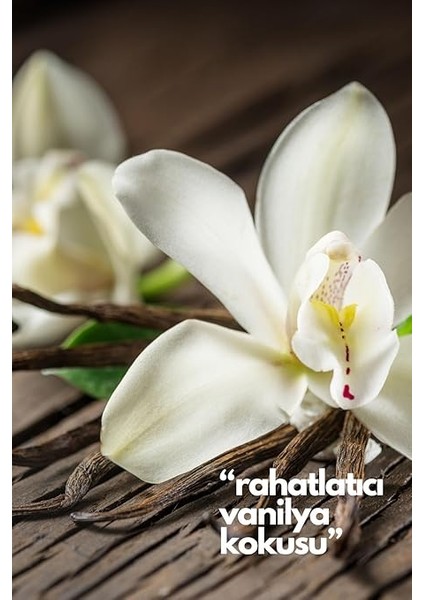 Nature's Scents Vanilla- Vanilya Oda Kokusu Yedek Makine Spreyi 250 ml modelleri