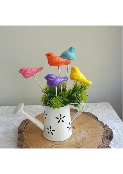 5 Li Rengarenk Kuşlu Saksı Dibi Süsü 6 * 3 Mavi,pembe,sarı,kırmızı,çok Renkli Mavi,pembe,sarı,kırmızı,çok Renkli 6 * 3 fiyatları
