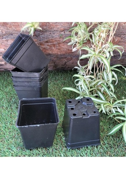 Kare Saksı 0,23 Lt 7x7,5 cm 60 Adet Üretim Saksısı Siyah Saksı Kare Üretim Saksı Plastik Saksı fiyatları