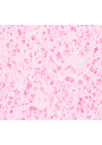 Selüloz Yüz Temizleme Süngeri 23 fırsatları