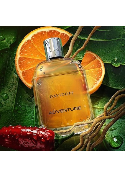 Adventure Edt 100 ml fırsatları