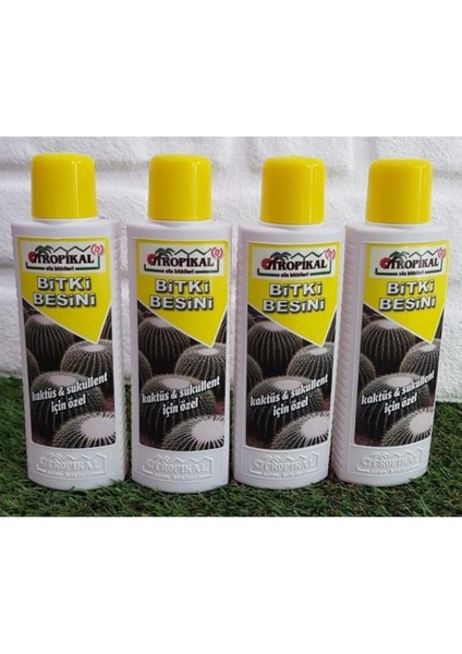 Sukulent Besini 4 Adet 225 ml Bitki Besini Sıvı Gübre Kaktüs Gübresi Bitki Vitamini