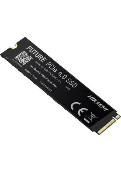 Hs-Ssd-Futurex Lite 2048 GB Dahili SSD