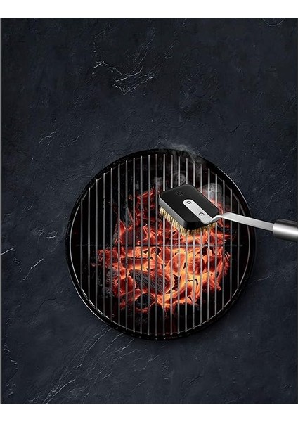 Mangal Fırçası, 43 x 7 cm Uzunluğunda, Mangal Temizleme Fırçası, Değiştirilebilir Pirinç Fırça Başlığı, Her Türlü Izgara Için fiyatları