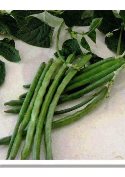 Tarım Ata Tohumu Yerli Börülce Karagöz 50 Adet Tohum