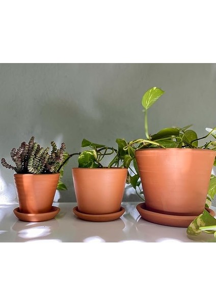 Savana Saksı+Tabak • Abstract Yeşil Sarı (Küçük) fırsatları