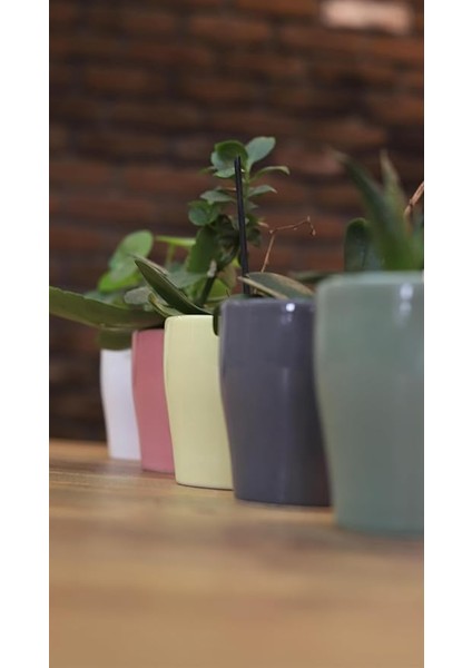 Athens 5li Mini Seramik Saksı Seti modelleri