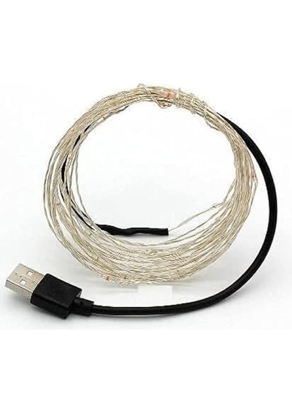 Peri LED 10 Metre USB Girişli modelleri
