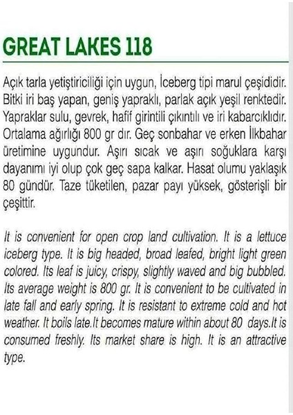 Tarım Doğal Göbek Marul Iceberg Great Lakes 1000 Adet Tohum fiyatları