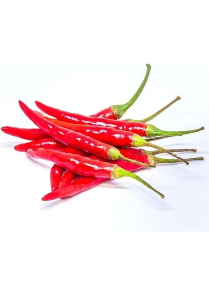 Paket 300 Adet Tohum Ithal Nadir Thailand Çok Acı Biber Tohumu fiyatları