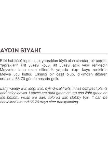 Tarım Ata Tohumu Yöresel Patlıcan Aydın Siyahı 100 Adet Tohum fiyatları